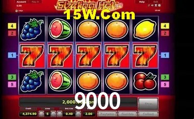 Sistemas de Segurança 9000